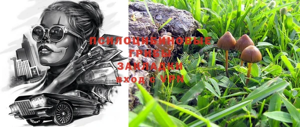 2c-b Кулебаки