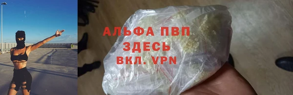 спиды Кукмор
