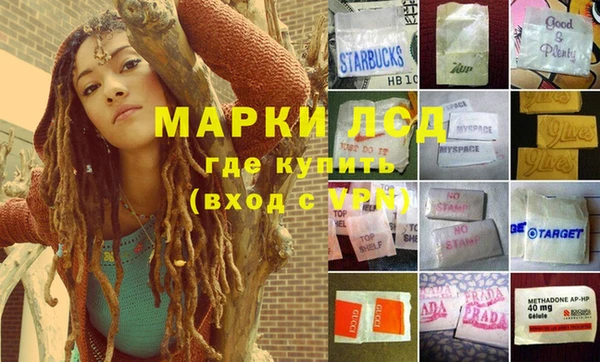 спиды Кукмор