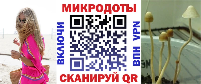 Купить  Бобров  Галлюциногенные грибы MAGIC MUSHROOMS 