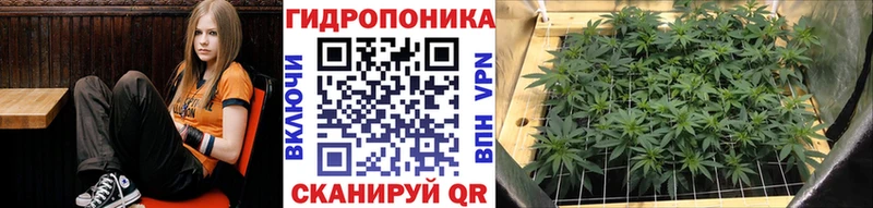 Конопля White Widow  Купить закладки  Бобров 